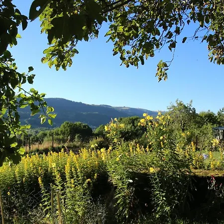 Bed & Breakfast La Cavaliera