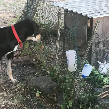 La Cavaliera Polminhac