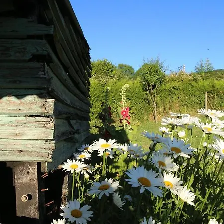 ベッド・アンド・ブレックファスト La Cavaliera